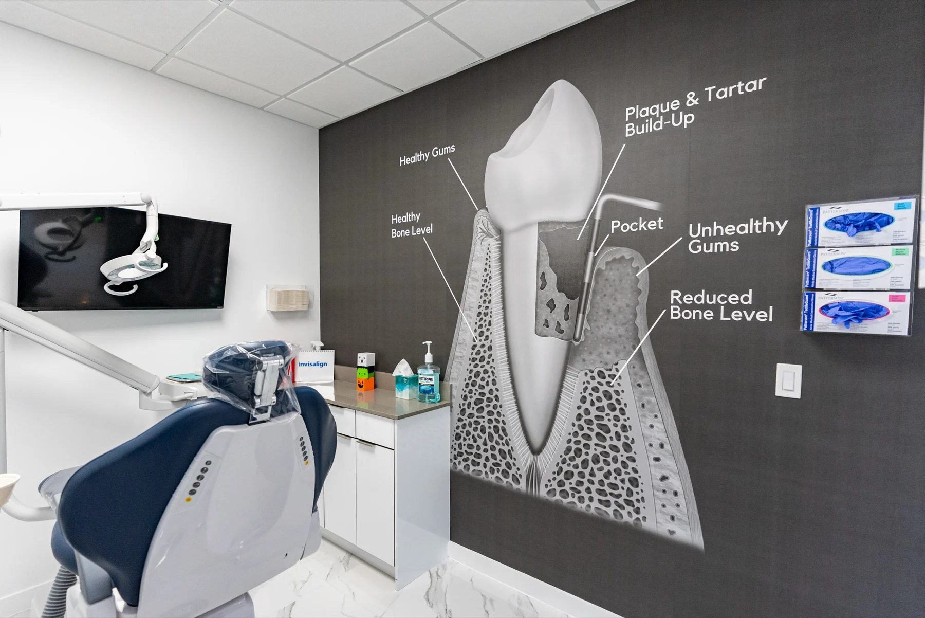 Anillo Dentistry — Treatment room with a gum and tooth anatomy graphic on a dark wall