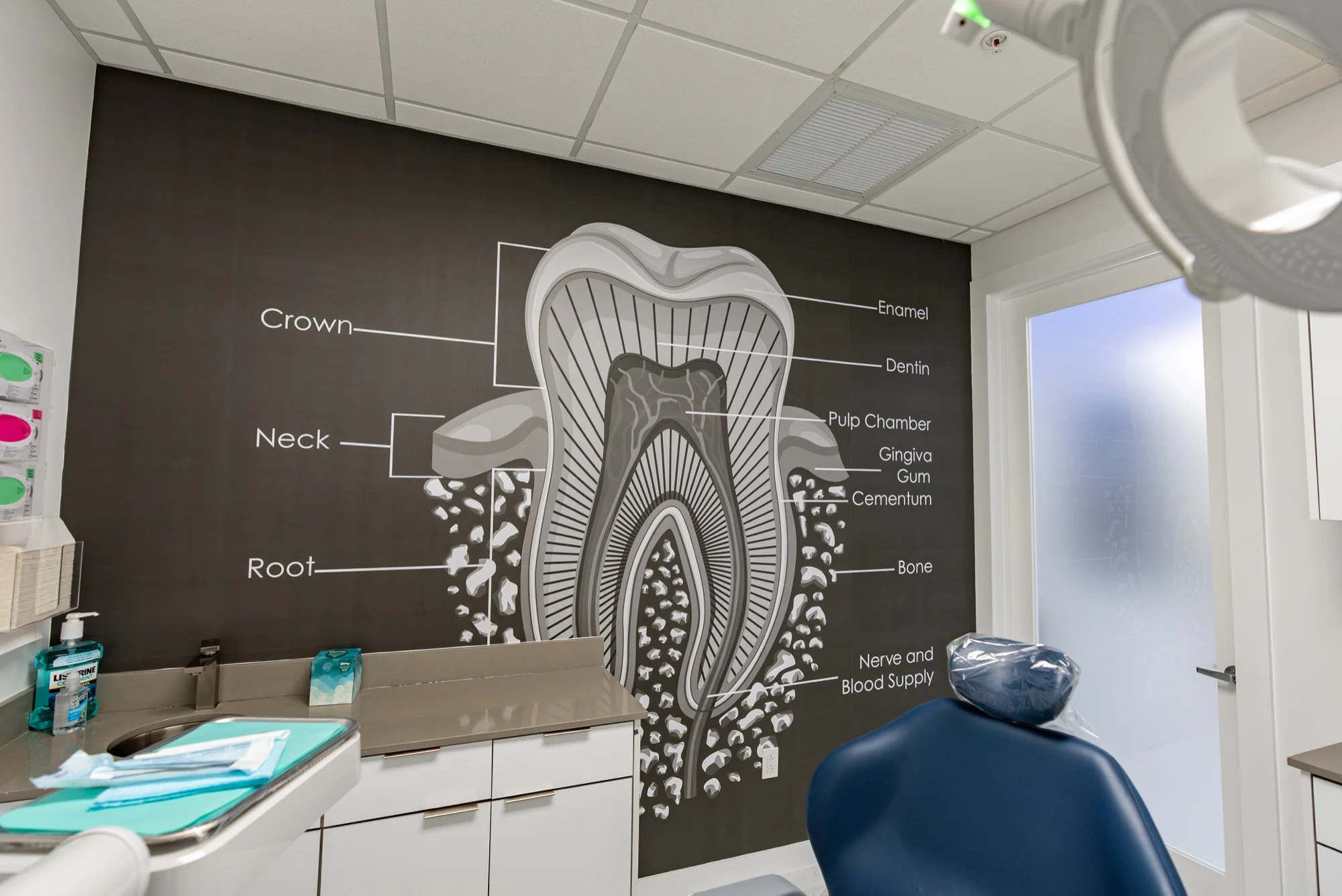 Anillo Dentistry — Tooth anatomy graphic labeled crown, neck and root behind a dental chair