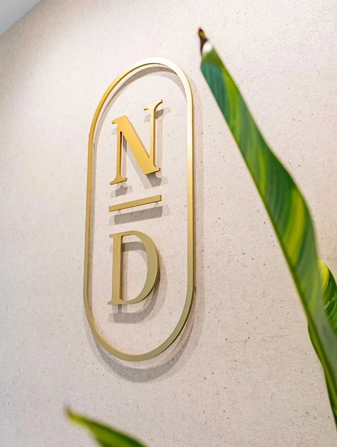 Nutridentist — Gold N/D monogram in an oval frame on a textured wall, behind a plant leaf