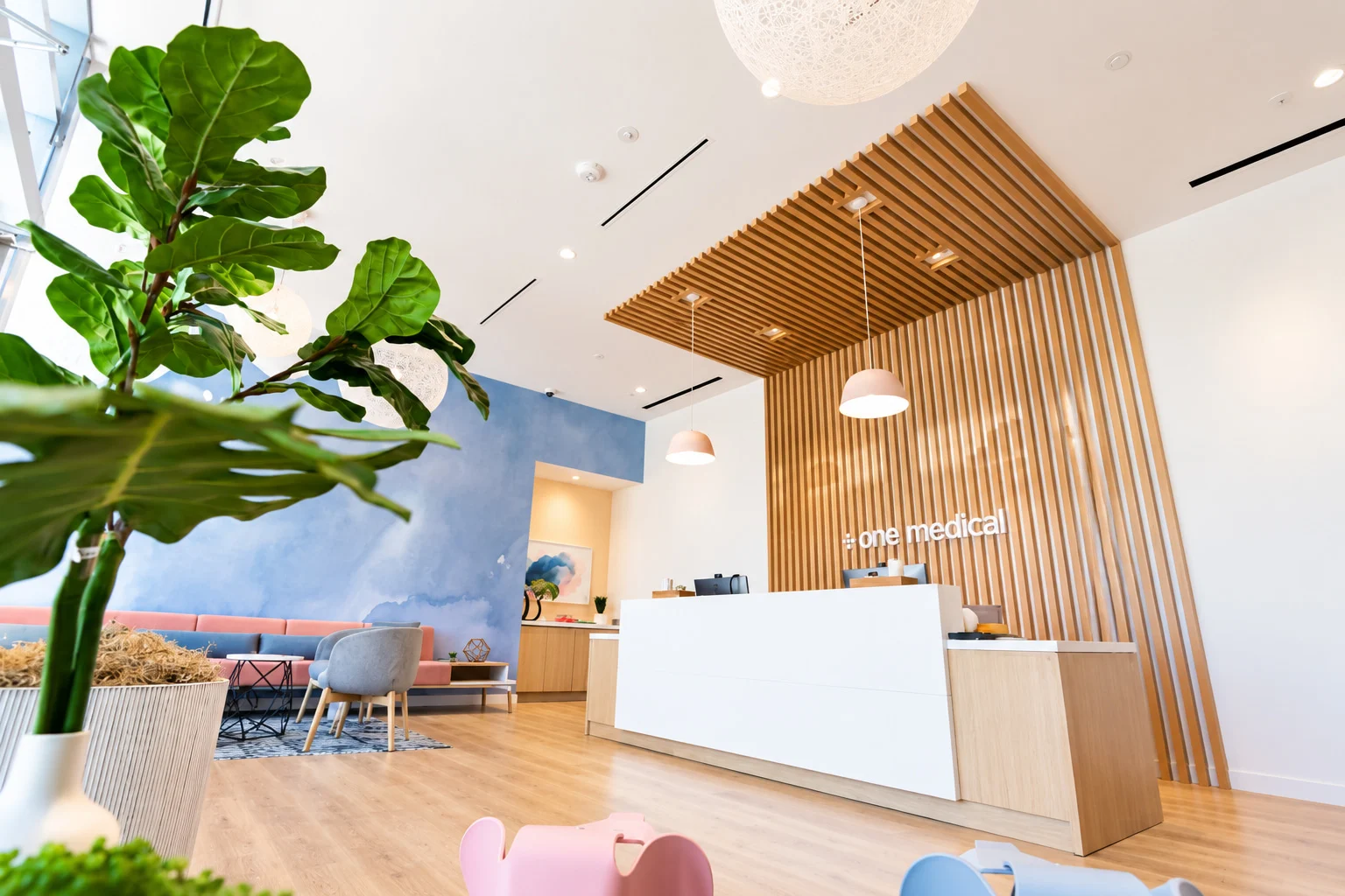 One Medical — Low view of the reception past a fiddle-leaf fig, with the timber-slat wall and the blue watercolor wall beyond